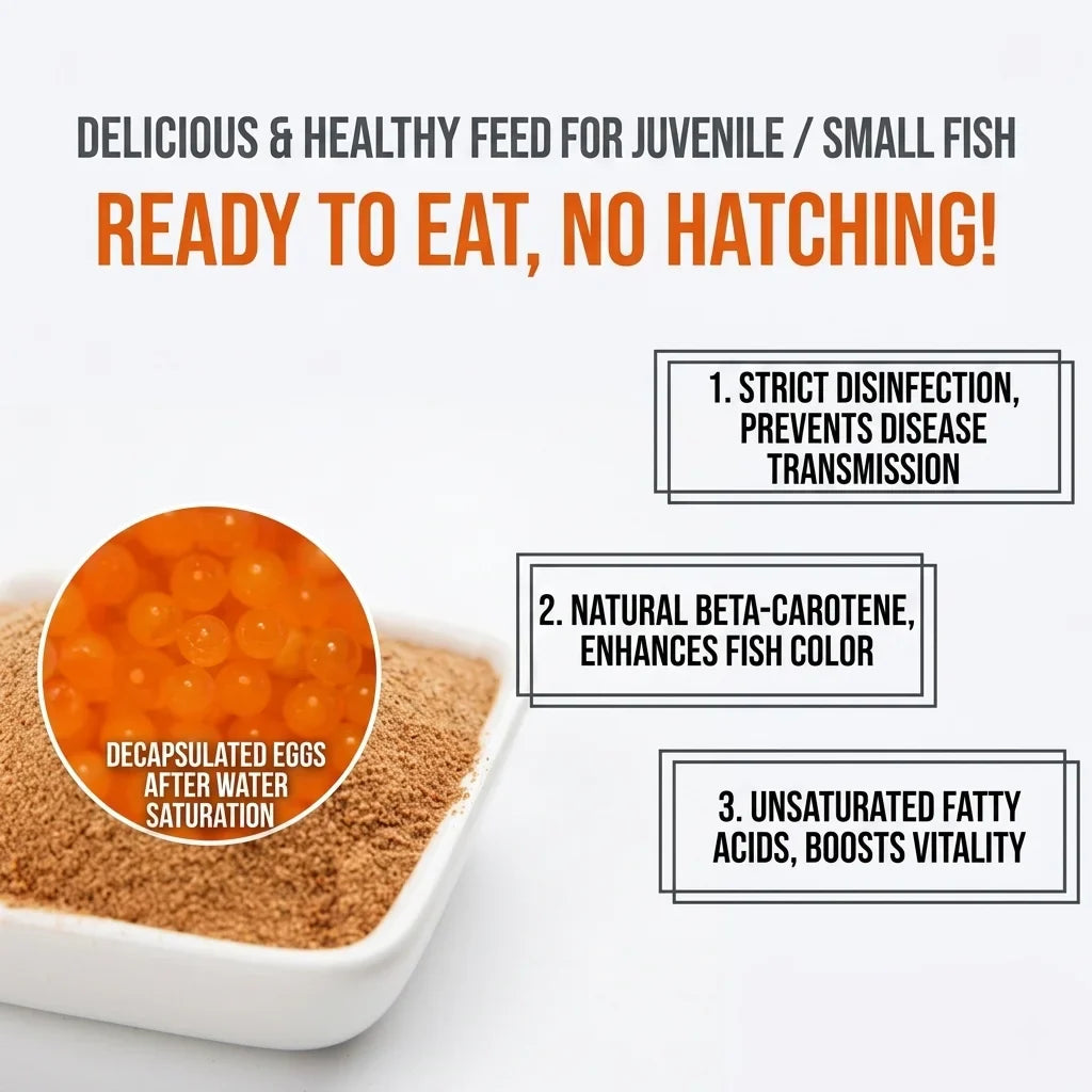 Decapsulated Brine Shrimp Eggs & Fish Fry Feeder Kit | 50g