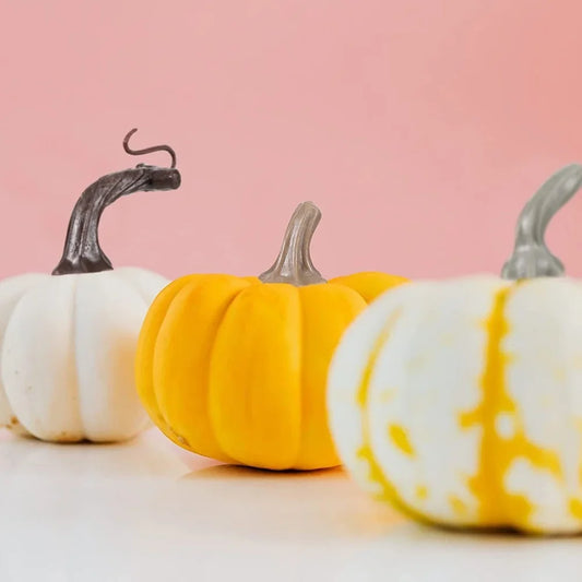 48-Pack Artificial Pumpkin Stems for Halloween DIY Crafts Holiday Craft Supplies Oasis Select