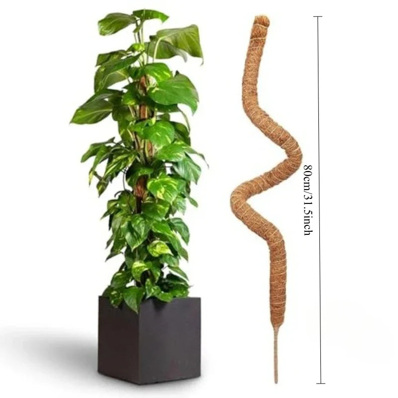 Bendable Coco Coir Moss Pole for Monstera & Climbing Plants