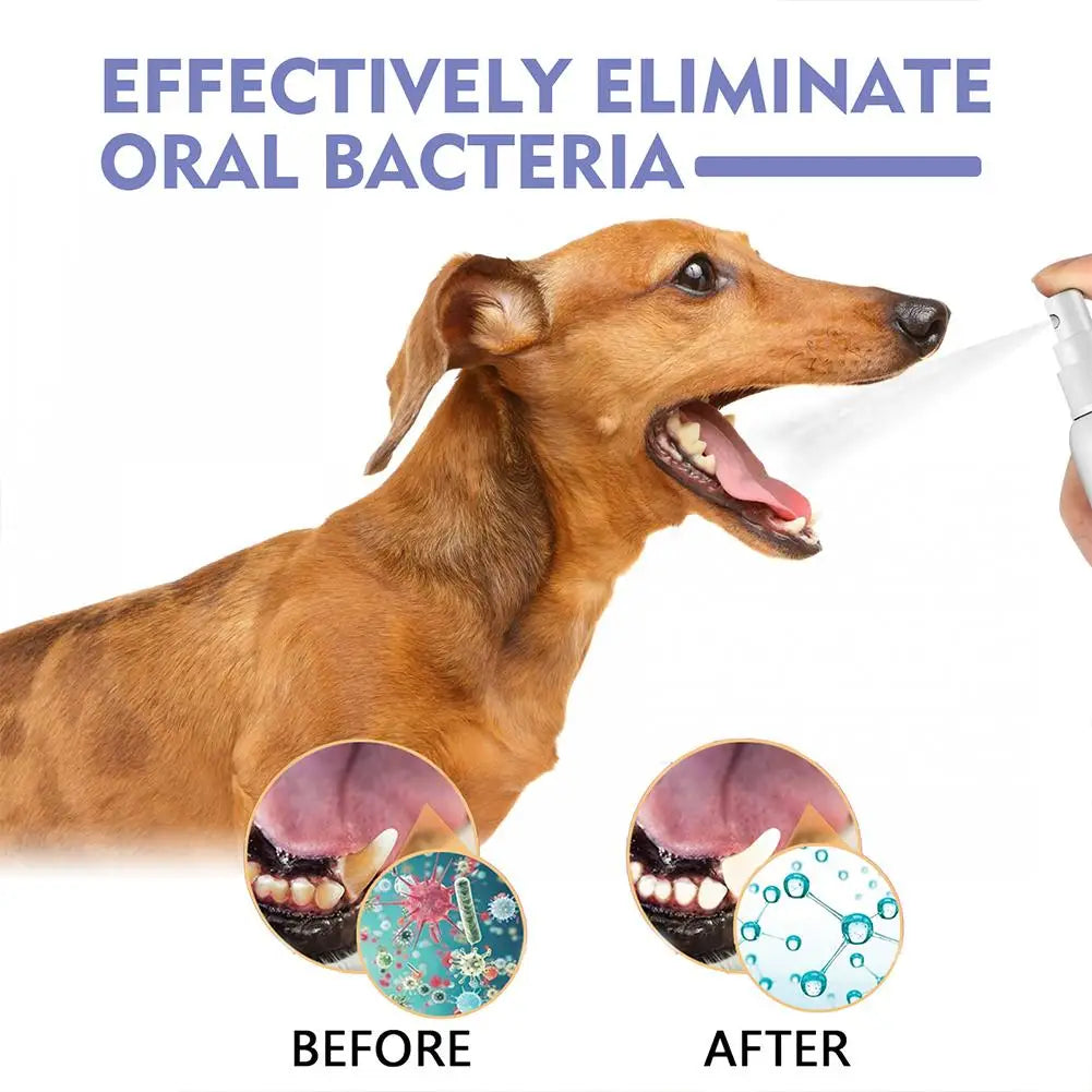 Pet Oral Cleaning Spray – Fresh Breath & Dental Care for Dogs
