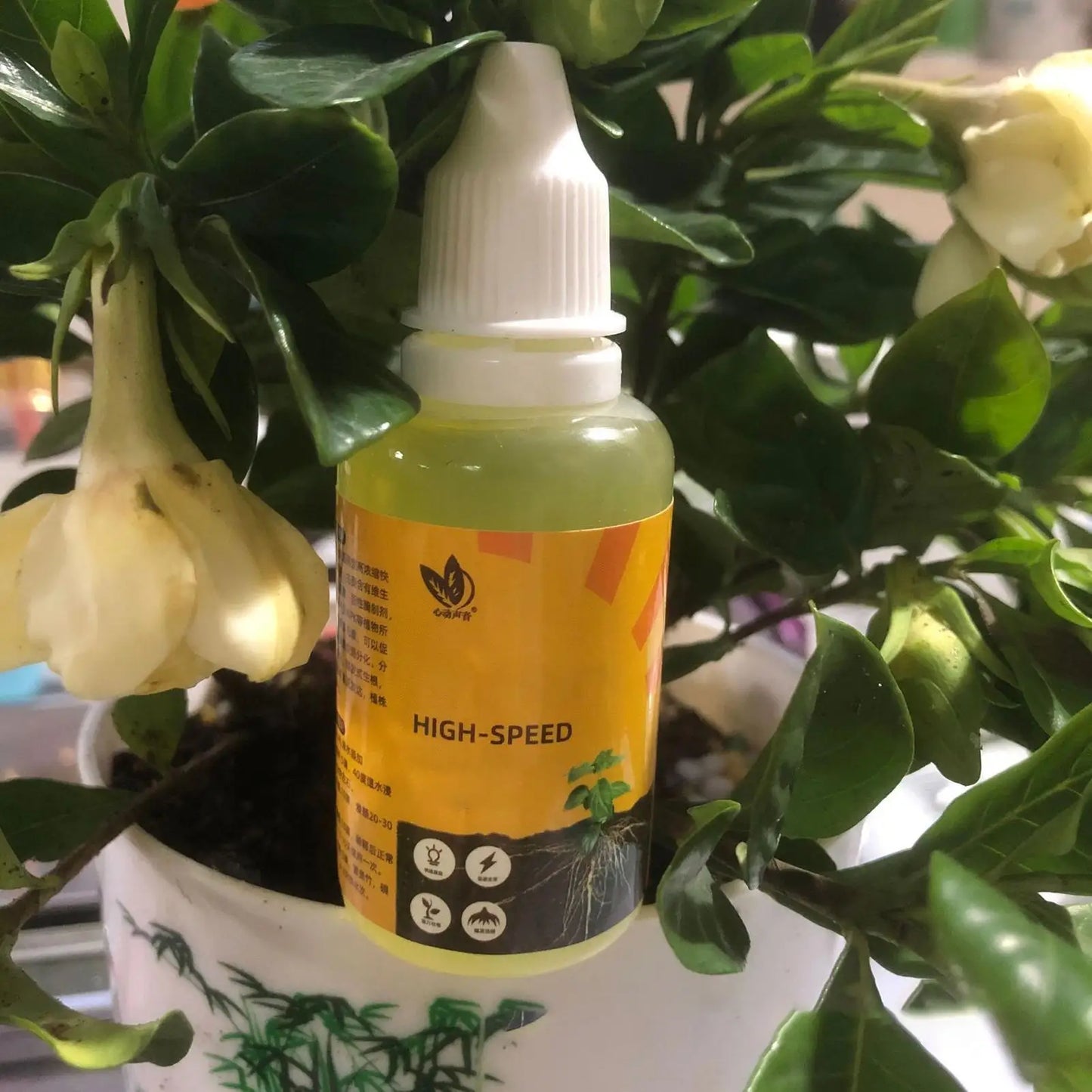 50ml Plant Rooting Stimulator Liquid | Cuttings & Succulents Plant Rooting Liquid Peaceful Pleasures Health and Wellness