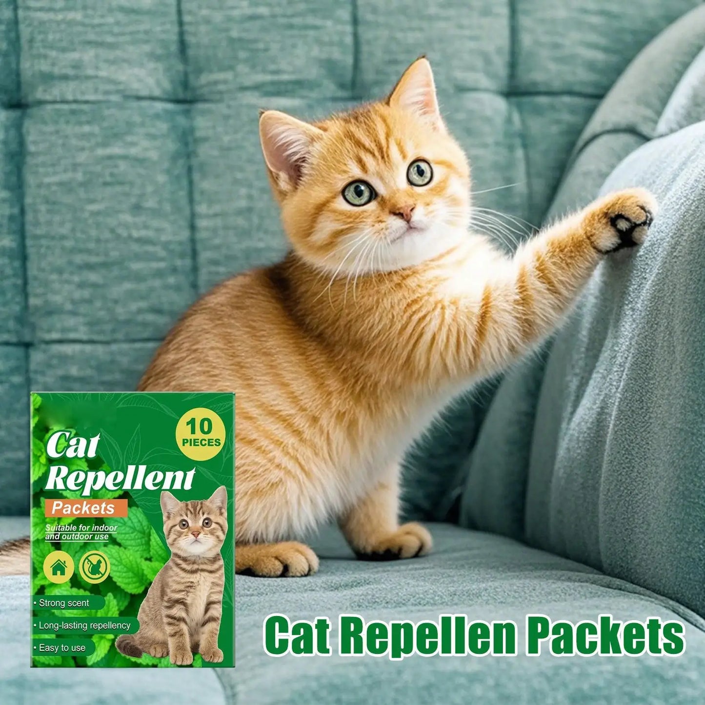 Cat Training Aids 10 Pieces Behavior Training Outdoor Indoor Bags For Kittens Indoor Home Plants Outdoor Garden Lawn Yard Peaceful Pleasures Health and Wellness