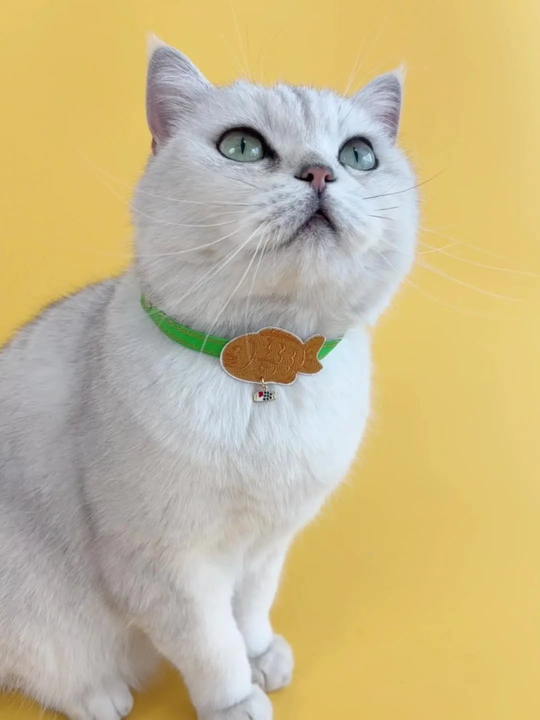 Sushi Embroidery Cat Collar – Adjustable Breakaway Safety Necklace