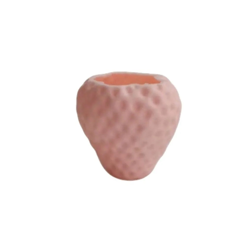 Strawberry Shaped Mini Flower Pot | Desktop Planter & Décor