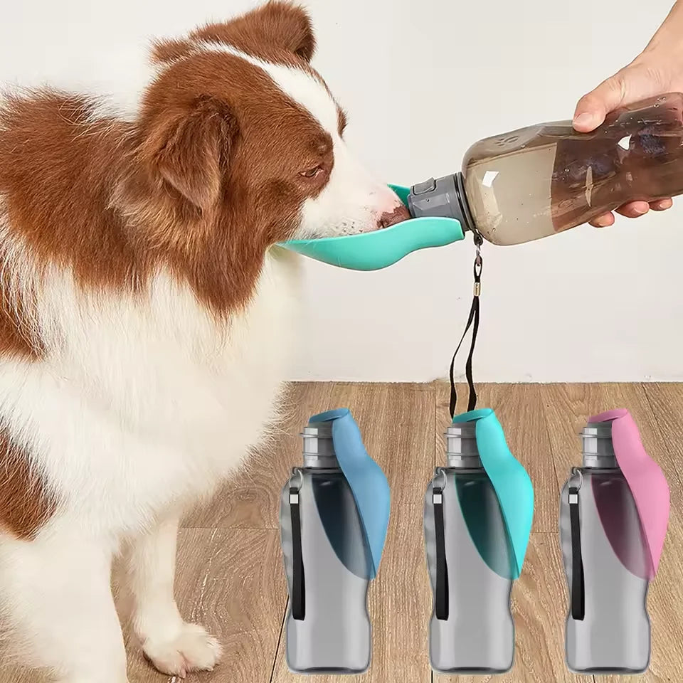 800ml Portable Dog Water Bottle – Foldable Leak-Proof Travel Bowl