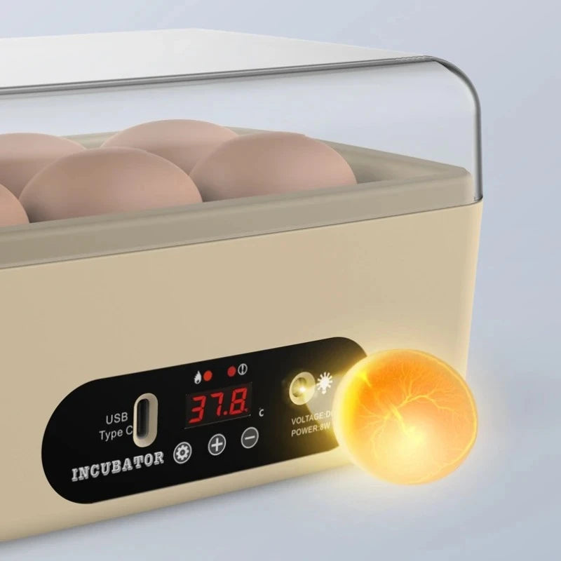 Automatic USB Powered Egg Incubator Portable Small Hatching Box for 5-6 Chicken Duck Pigeon Quail Eggs Educational Tool Peaceful Pleasures Health and Wellness