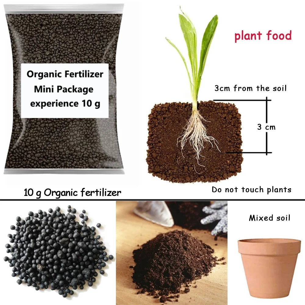 10 G Organic Fertilizer Mini Package Green General Purpose Safe And Pollution Free Use Flower Plant Food For Garden Bonsai Peaceful Pleasures Health and Wellness