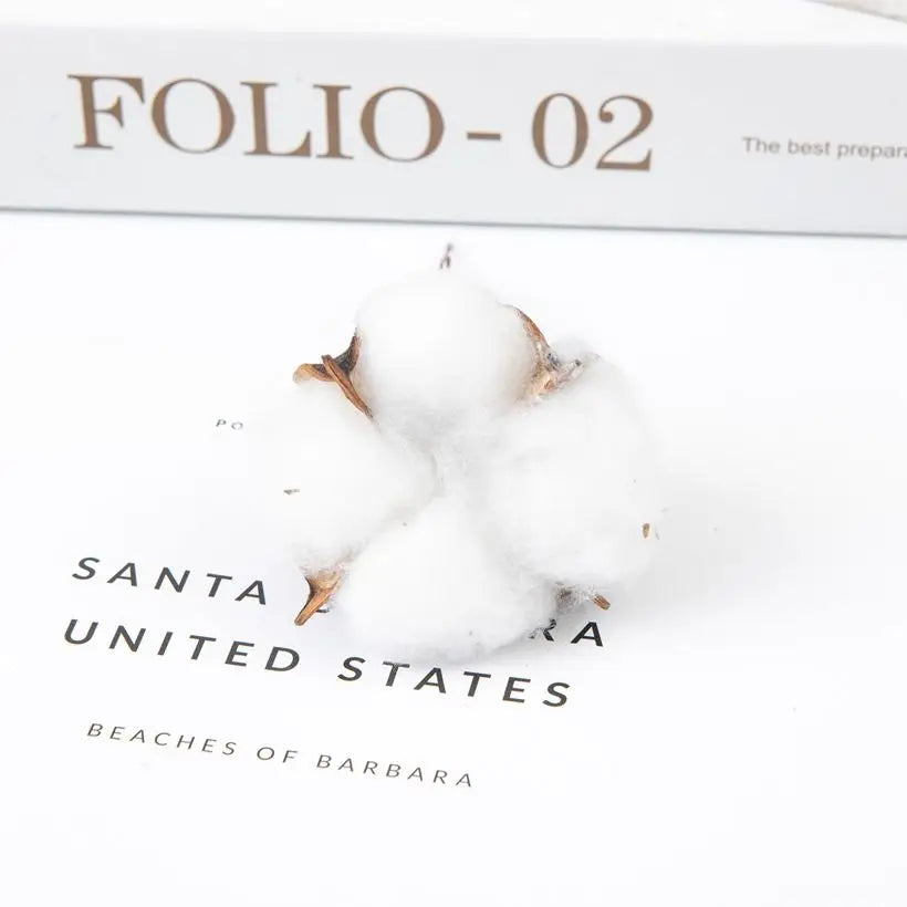 Dried Cotton Stems Floral Branches | Wedding & Home Decor