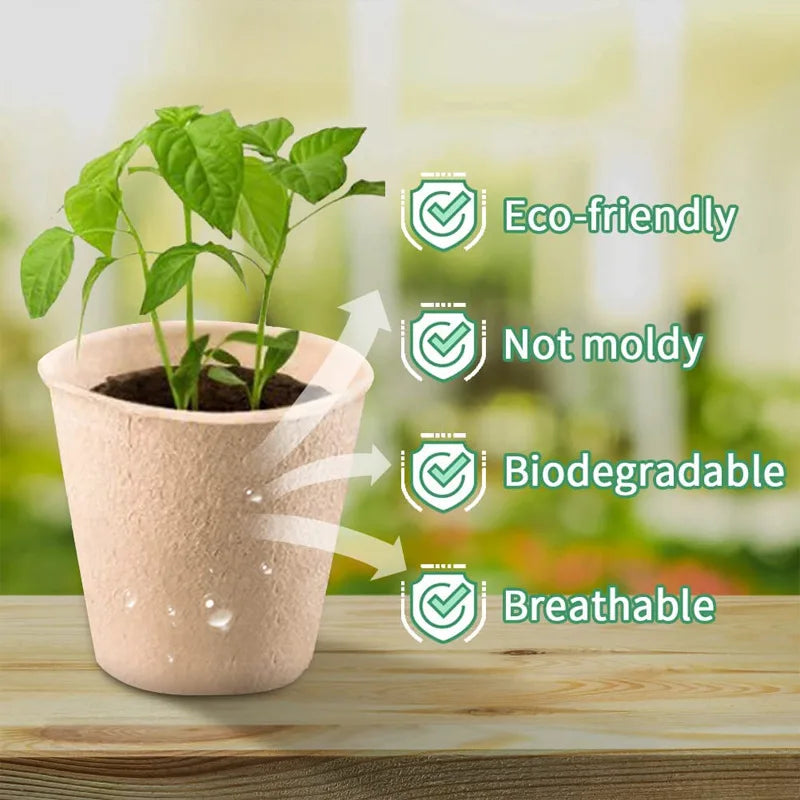 Biodegradable Pulp Seed Starter Pots | 10/20 Pack with Drainage