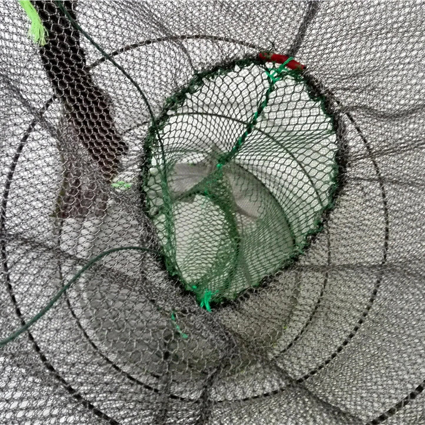 1Pcs Collapsible Steel Wire Nylon Net Fish Cage Mesh Fine Trap For Crab Shrimp And Crayfish Fishing Tackle Outdoor Enthusiasts Peaceful Pleasures Health and Wellness