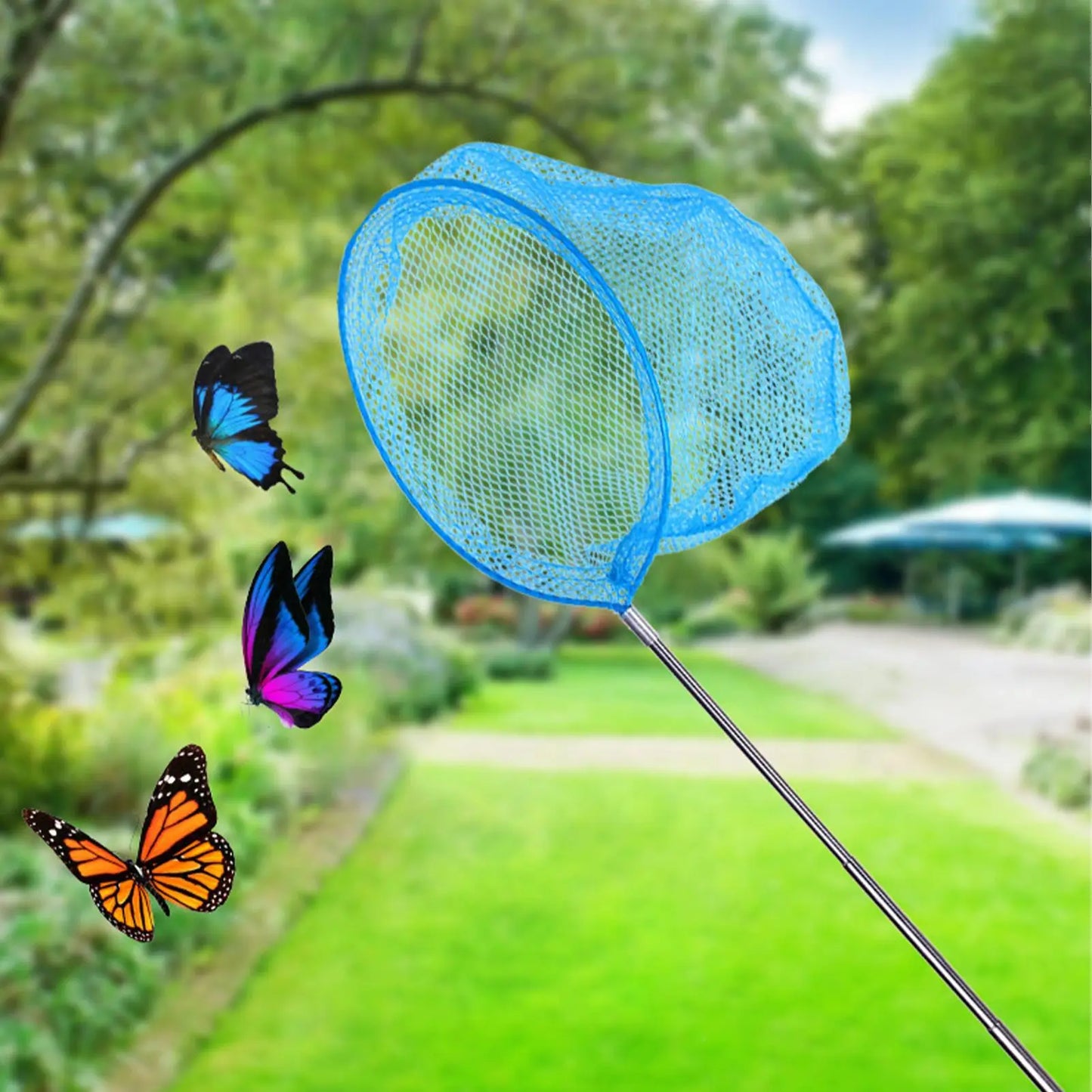Retractable Kids Butterfly & Fishing Net | Telescopic Outdoor Toy