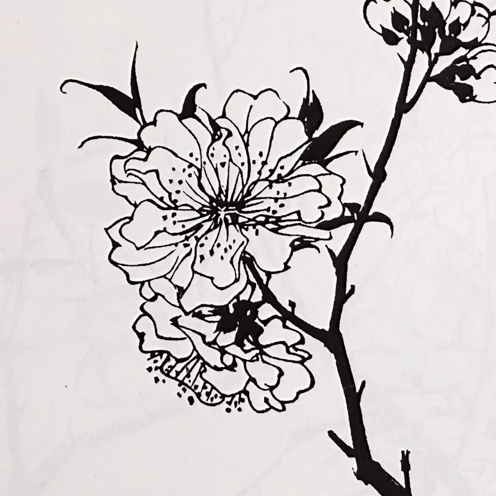 94Pages Flowers All Seasons Chinese Line Drawing Collection Coloring