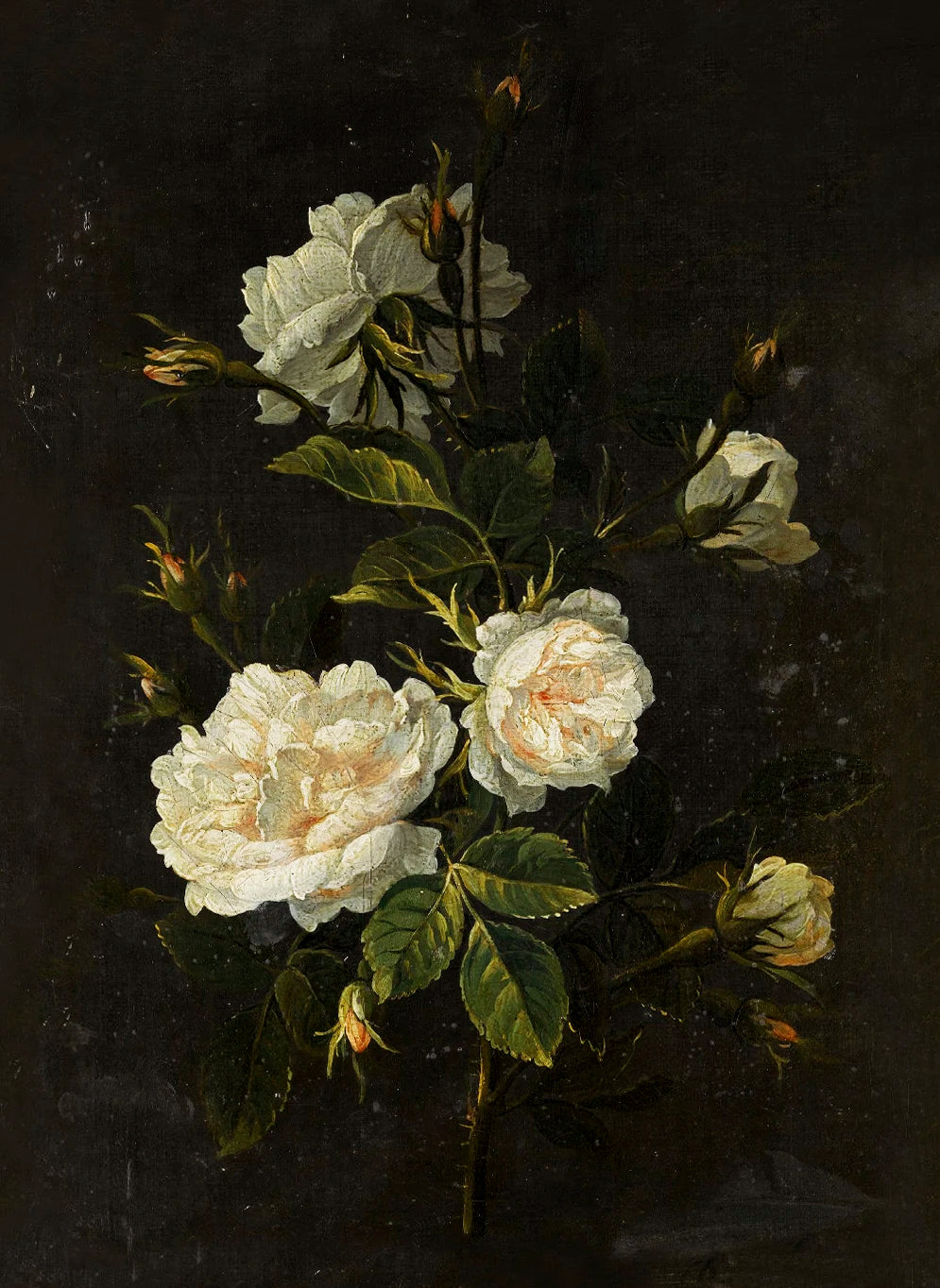 Moody Vintage Floral Series Poster Print Canvas Painting Art Pictures Home for Living Room Bedroom Wall Decor Frameless Peaceful Pleasures Health and Wellness 10 20x30cm Unframed