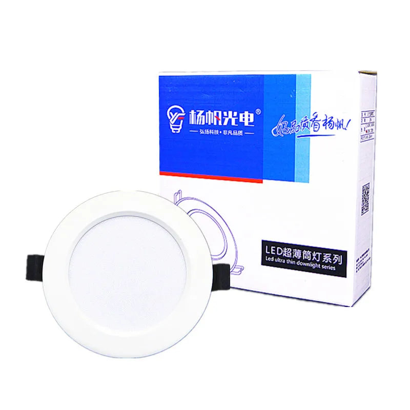 LED Recessed Downlight Ceiling Spotlight 6W–20W | AC220V