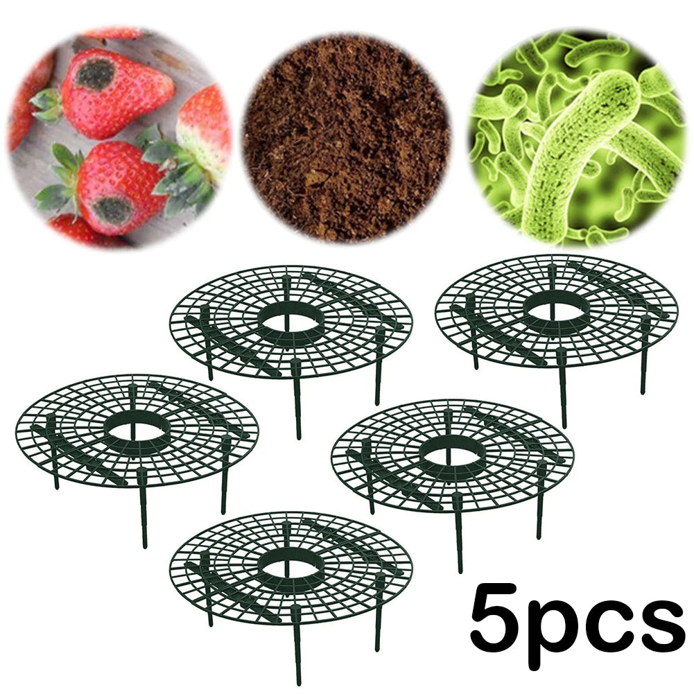 Strawberry & Vine Plant Support Stands – Elevated Fruit Rack Peaceful Pleasures Health and Wellness