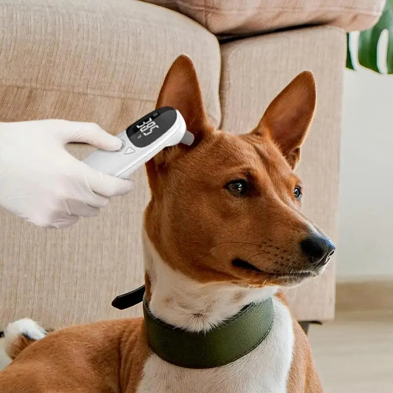 Non-Contact Digital Pet Ear Thermometer for Dogs & Cats