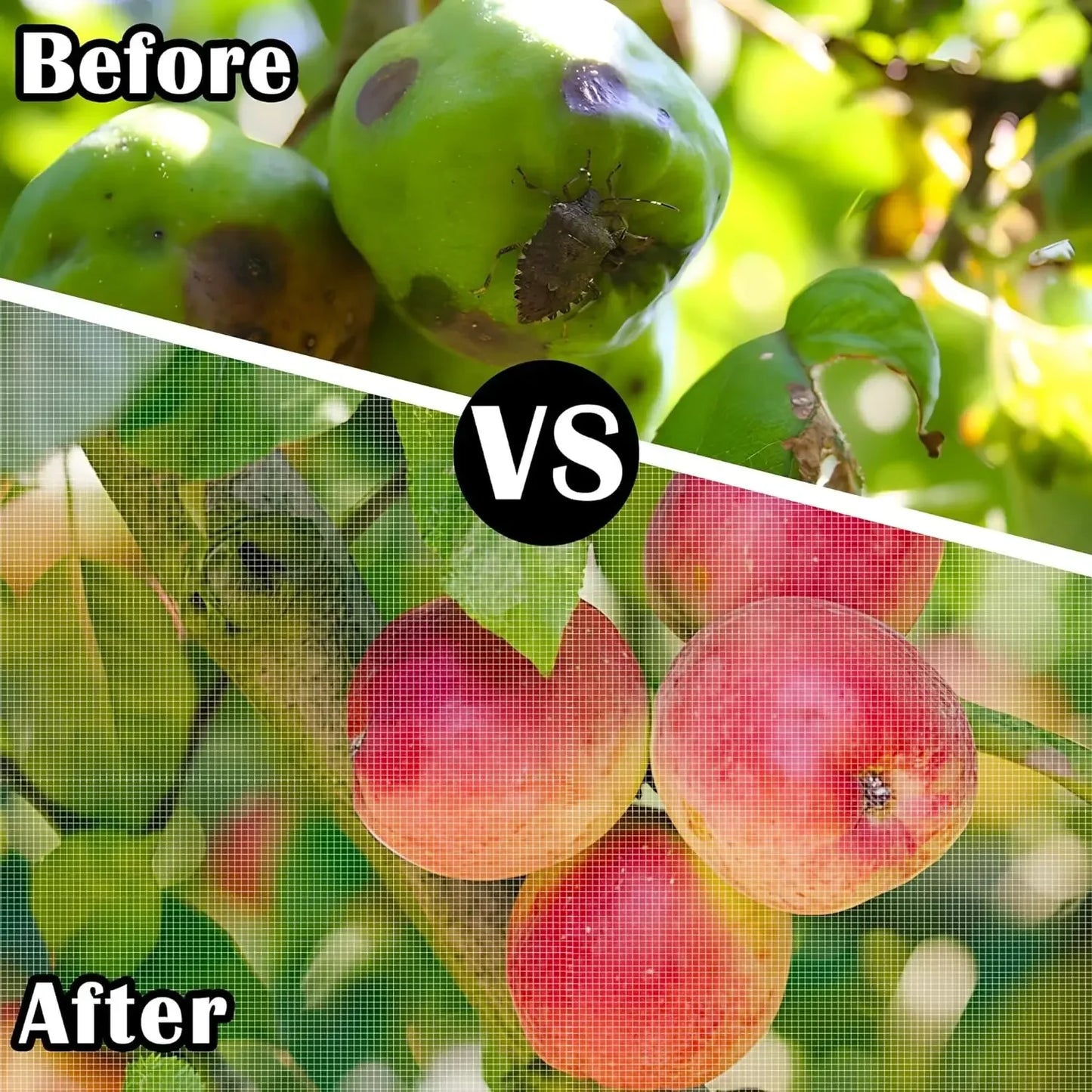Fruit Tree Insect & Bird Net Cover | Garden Crop Protection