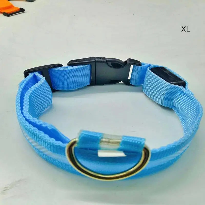 LED Light-Up Dog Collar – Glowing Safety Collar for Night Walks