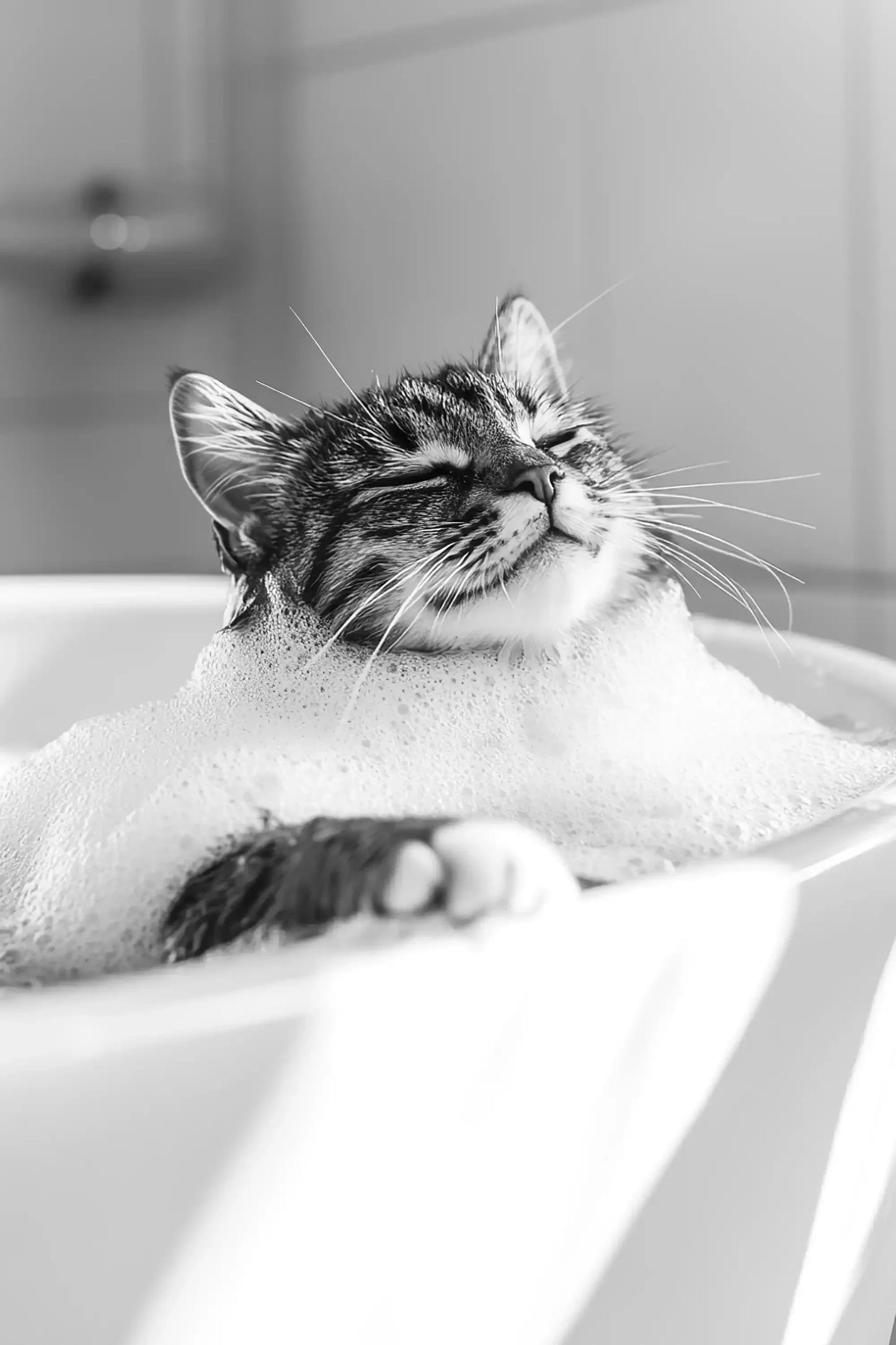 Black & White Cute Animal Toilet Paper Canvas Wall Art Poster