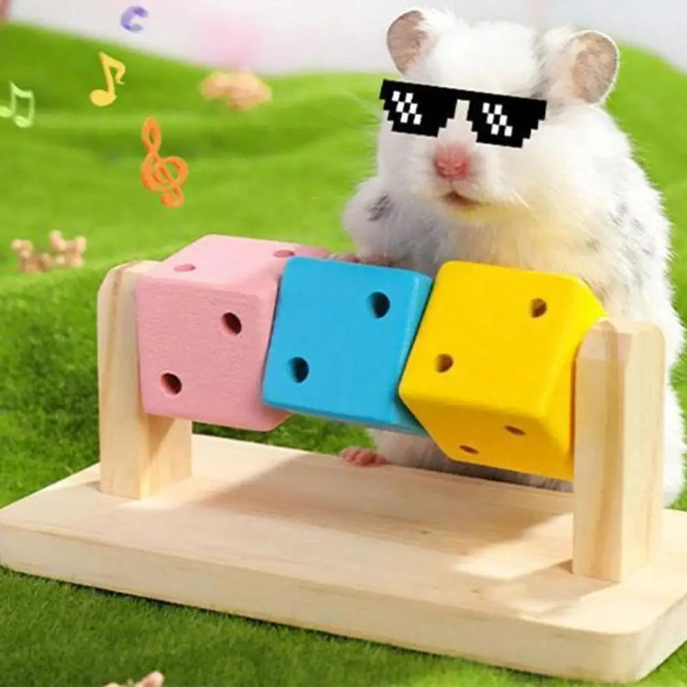 Hamster Fitness Cube – Colorful Wooden Activity Toy for Small Pets