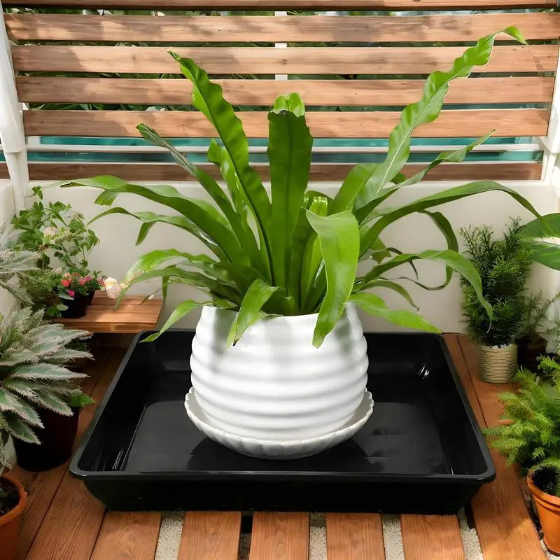 Plant Saucer Square Durable Flower Pot Indoor Outdoor Heavy Duty Tray Square Flowerpot Water Dish Home Decor for Gardening Peaceful Pleasures Health and Wellness