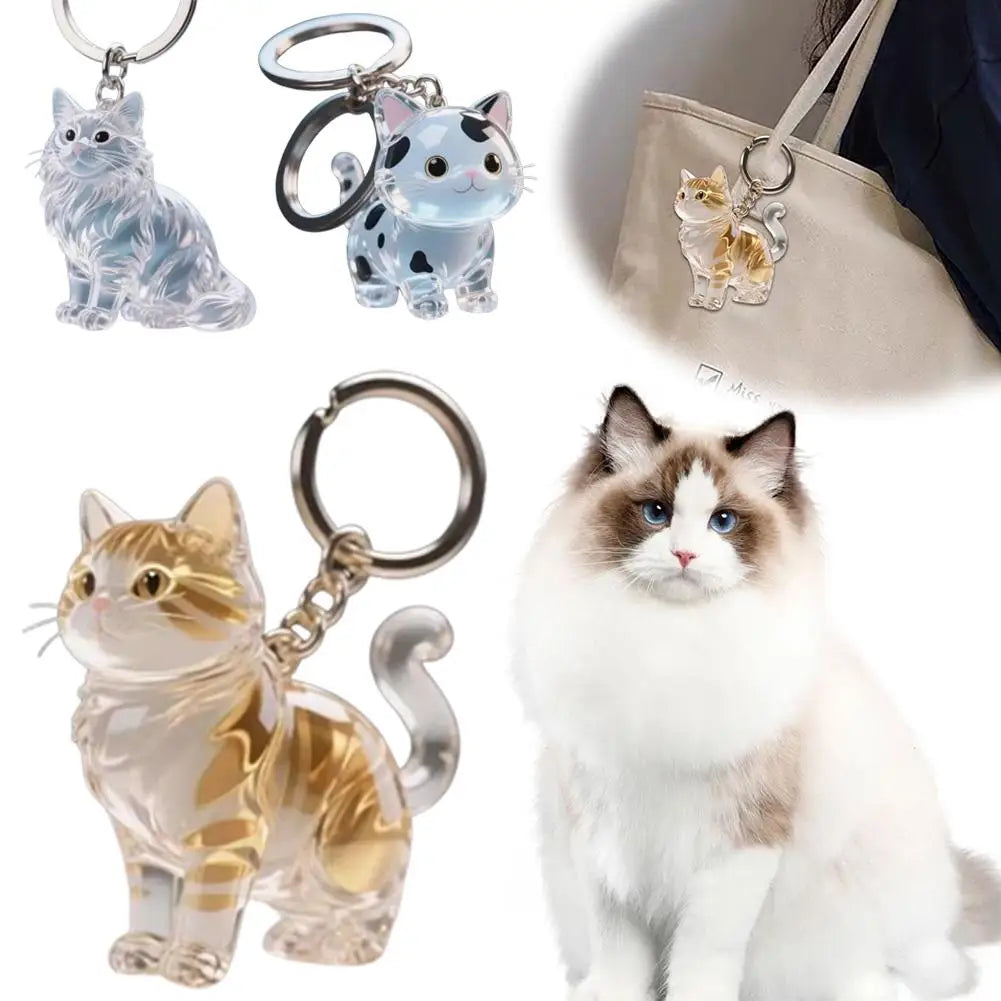 Creative Cat Hair storage box Bag Hanging Ornament Keychain Decoration Gift Cute Cat Hair Creative Transparent Hanging Peaceful Pleasures Health and Wellness