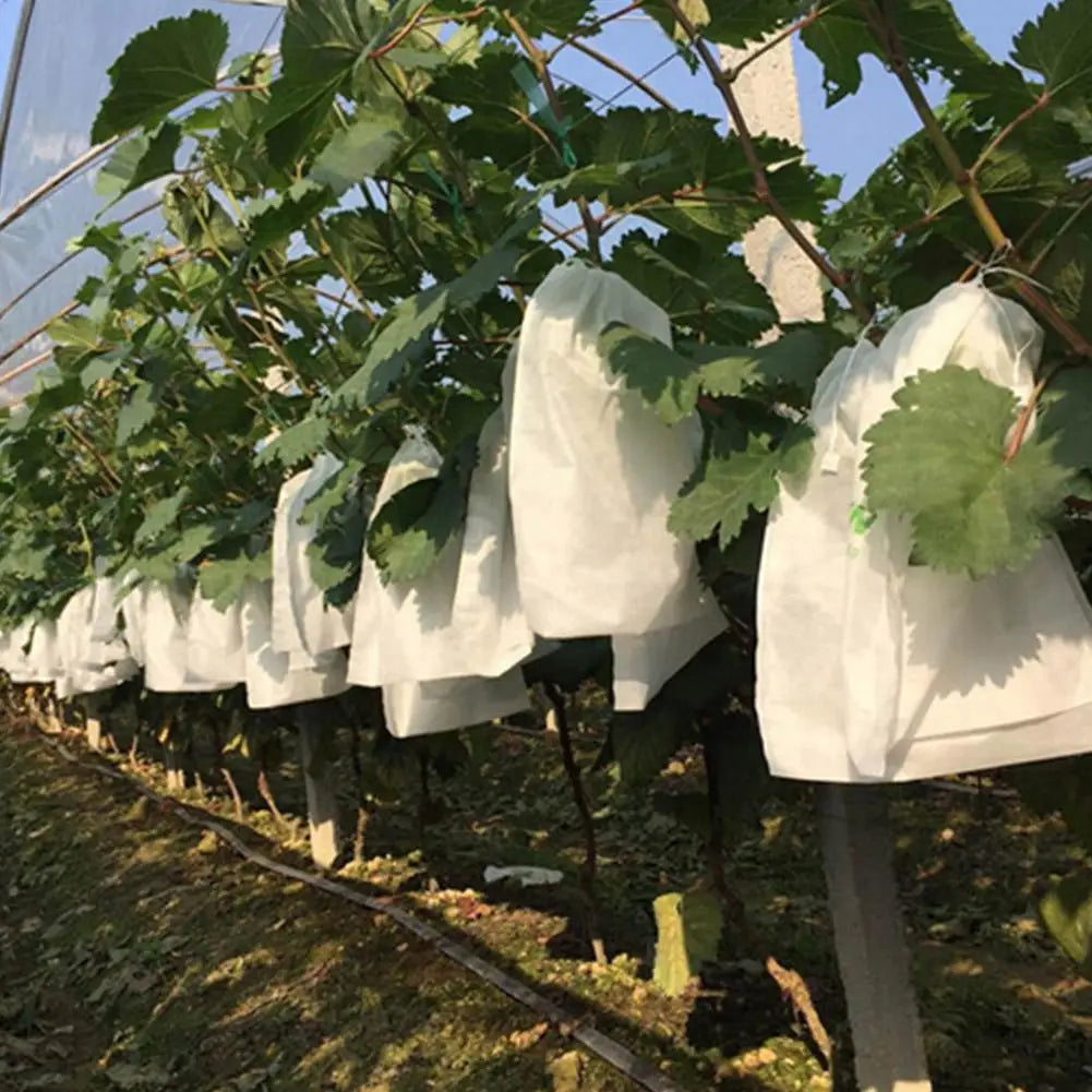 Fruit Protection Bags 50/100Pcs Mesh Drawstring Pest Bird Cover Fruit Protection Bags Peaceful Pleasures Health and Wellness