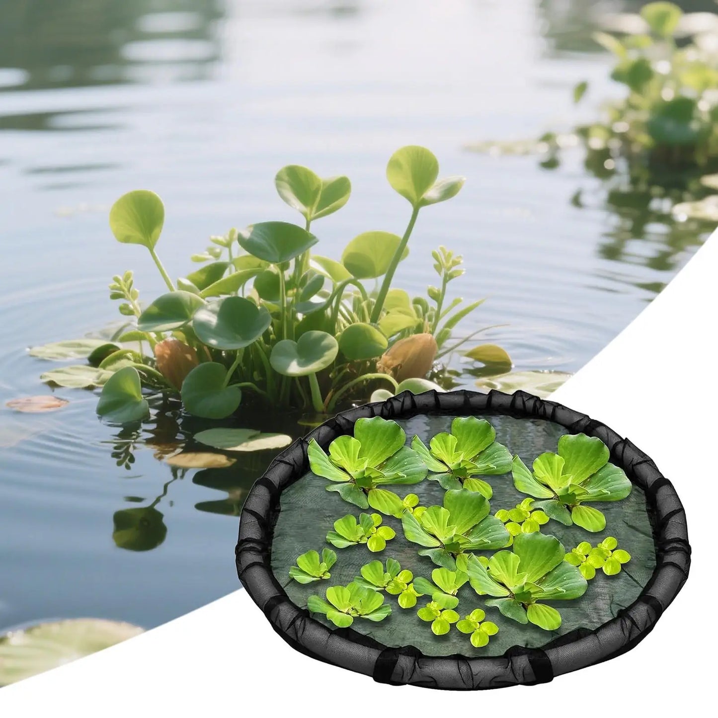 Floating Island Plant Protector 17.7" Fine Mesh Fish Barrier