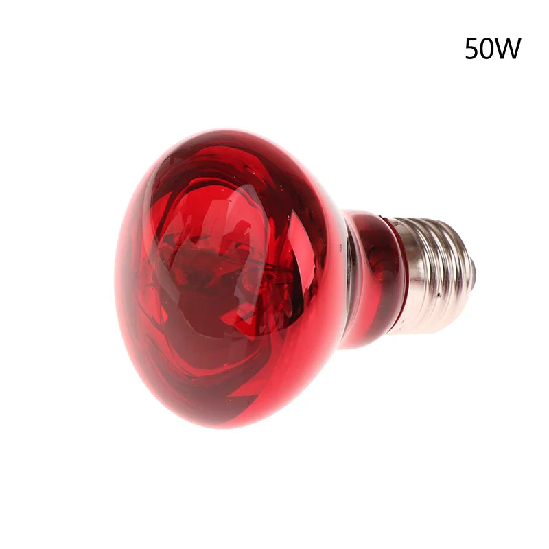 Reptile UVA Heating Bulb E27 | 25W–100W Basking & Night Heat