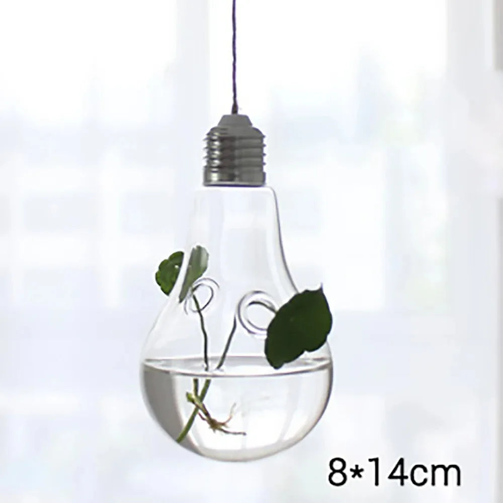 Hanging Glass Terrarium Vase | Hydroponic Plant Pot Decor