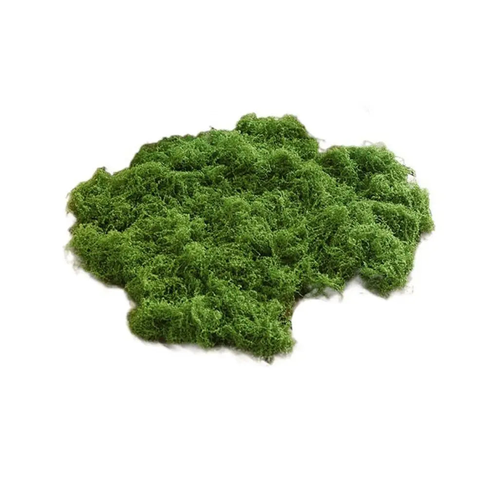 Artificial Filamentous Moss – DIY Miniature Landscape & Decor