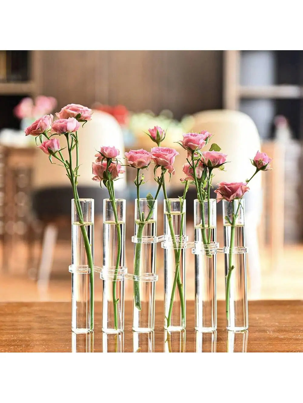 Glass Test Tube Hanging Vase Set | Hydroponics Home Decor