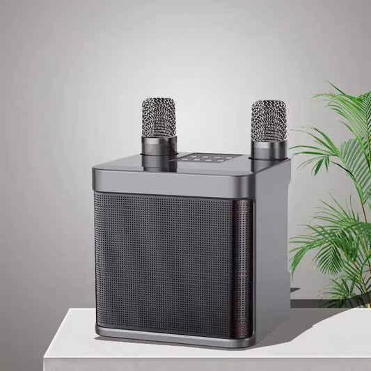 AyeBeau Portable Karaoke Bluetooth Speaker with Microphone Portable Karaoke Speaker Oasis Select