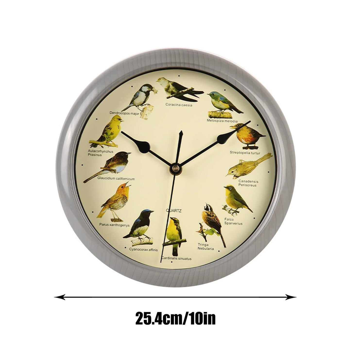 Wall Hanging Clock Decor Singing Bird Wall Clock Bird Clock With Sound Hanging Clock Decor for Kitchen Walls Shelf Decoration Peaceful Pleasures Health and Wellness