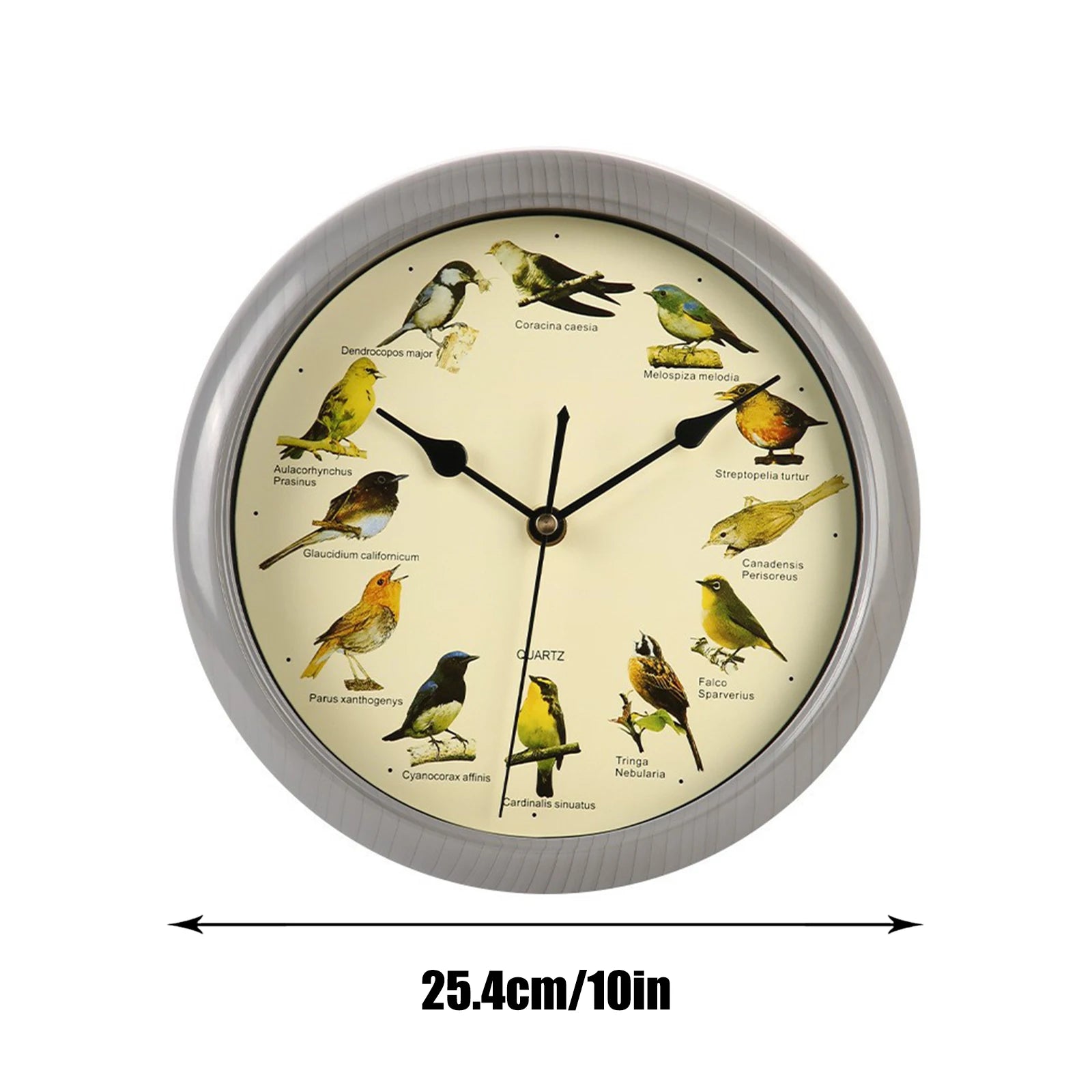 Wall Hanging Clock Decor Singing Bird Wall Clock Bird Clock With Sound Hanging Clock Decor for Kitchen Walls Shelf Decoration Peaceful Pleasures Health and Wellness