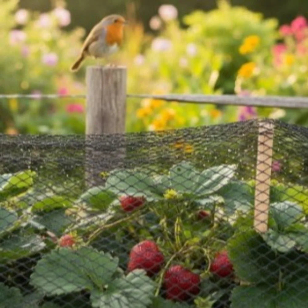 Heavy Duty Black Garden Bird Netting – Reusable PE Mesh
