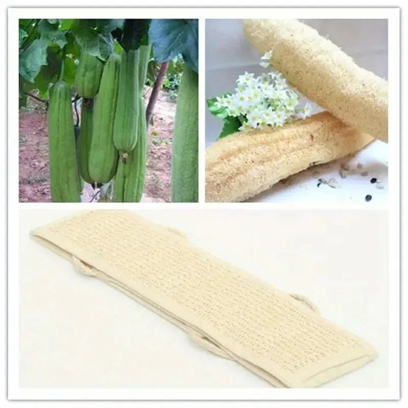 Exfoliating Loofah Body Scrubber with Strap | Shower & Spa