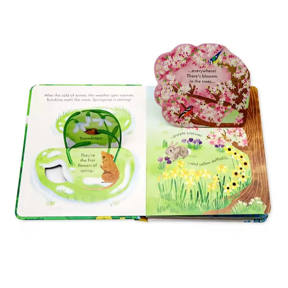 Usborne Peep Inside Springtime 3D Flap Picture Books Kids Bedtime