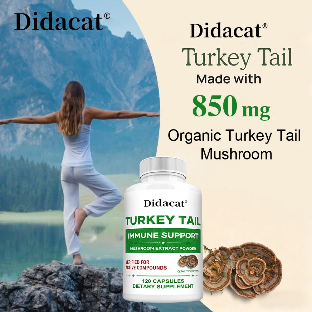 Turkey Tail Mushroom Capsules - Mushroom Supplement for Immune System Health Support - 850 Mg Premium Mushroom Supplements Peaceful Pleasures Health and Wellness