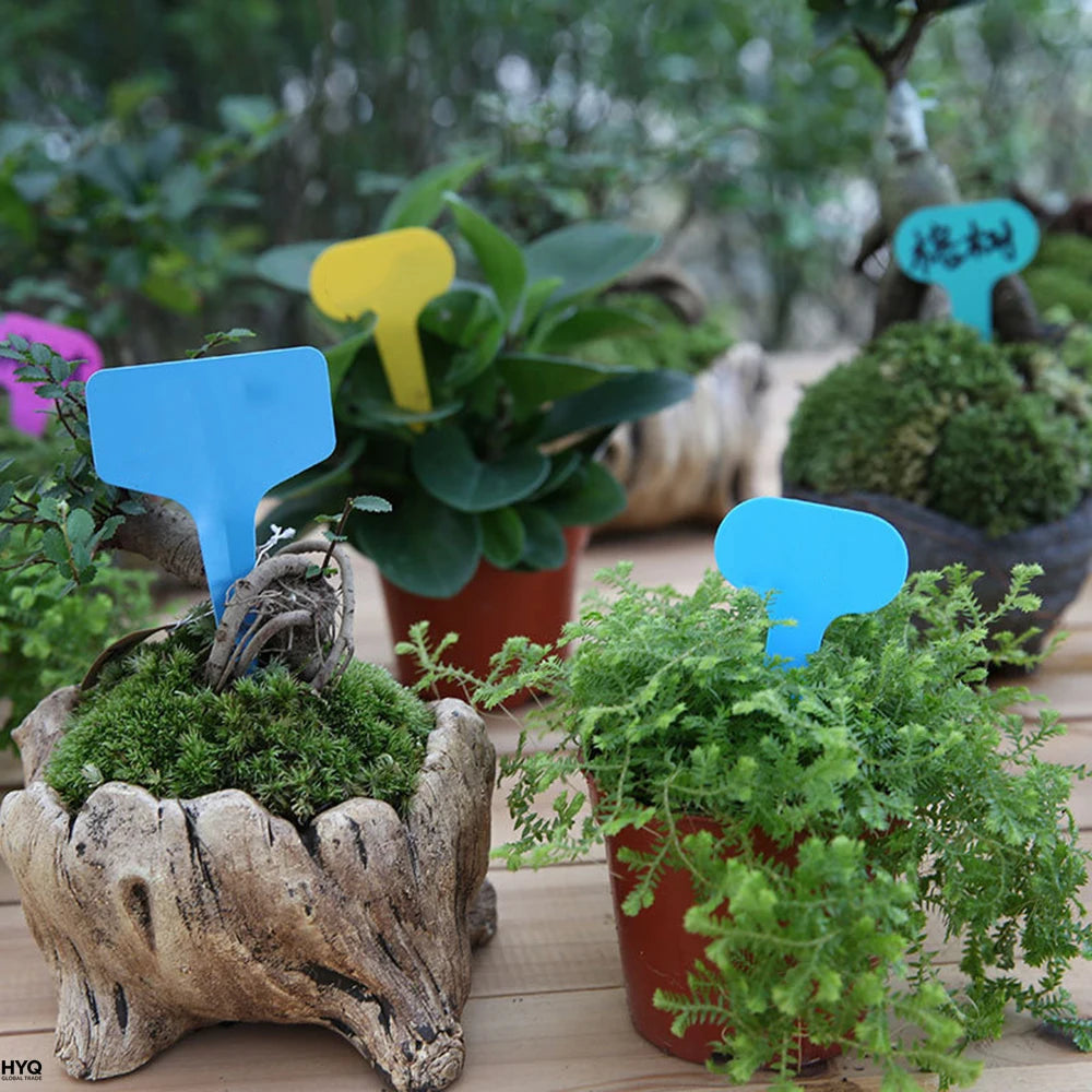 Tiquettes De Jardin Blanches 100 Pi Ces En Plastique Tanche