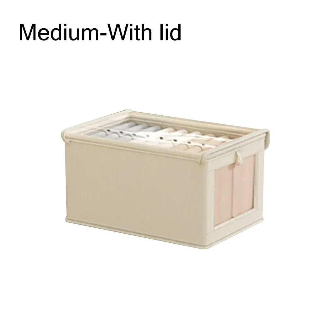 Dustproof Clothes Storage Box with Lid – 3 Sizes | Organizer