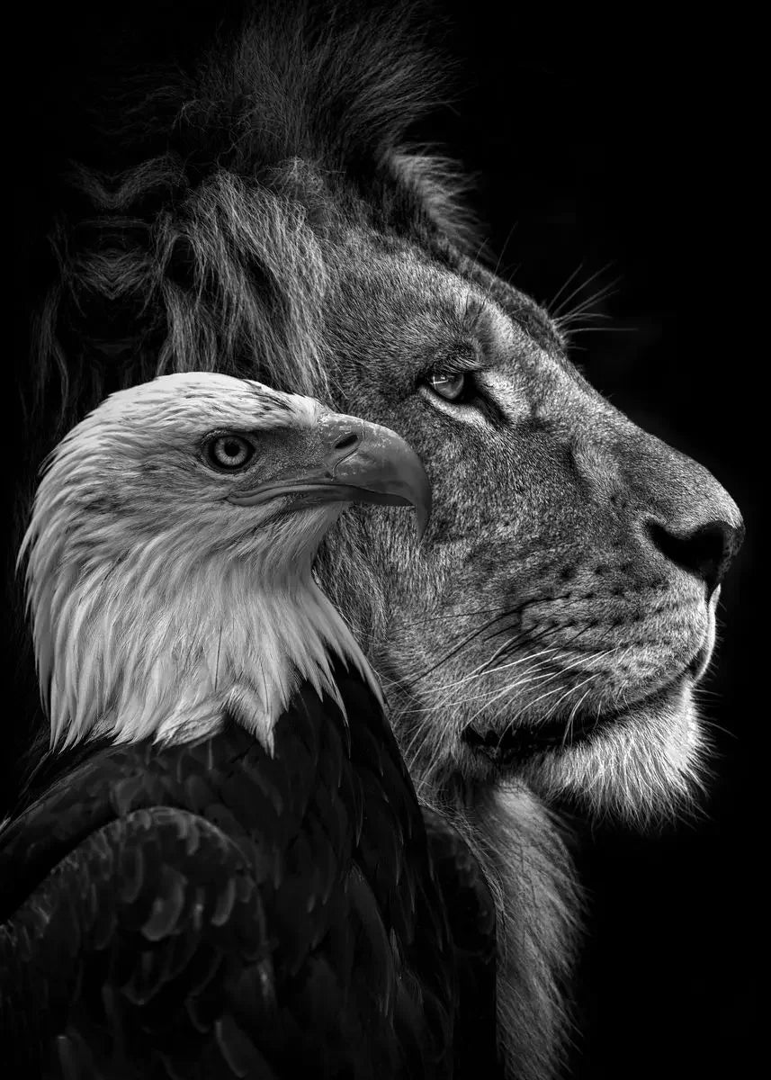 Black & White Safari Animals Canvas Wall Art for Kids Room