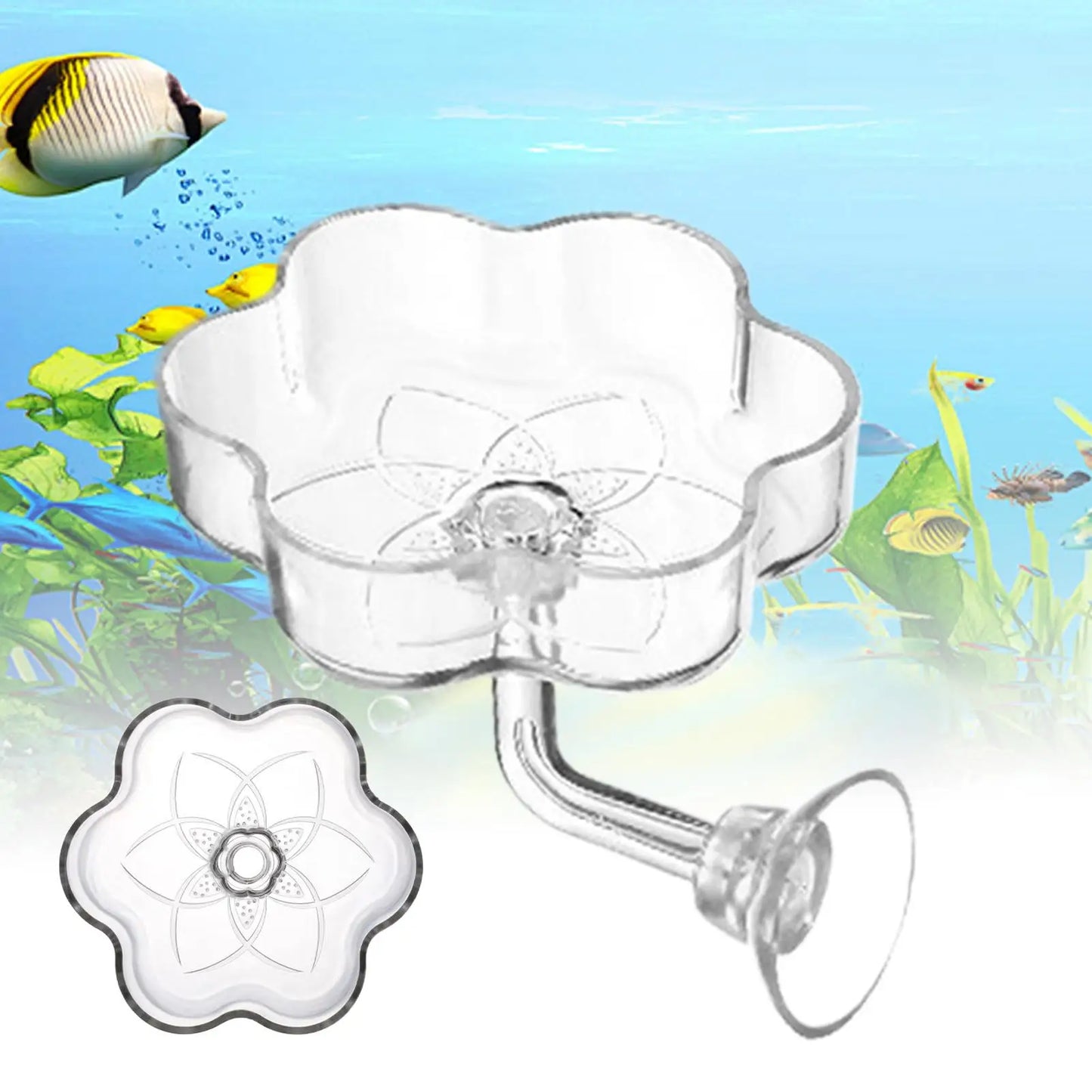 Aquarium Shrimp Feeder Tray | Clear Acrylic Suction Cup Dish