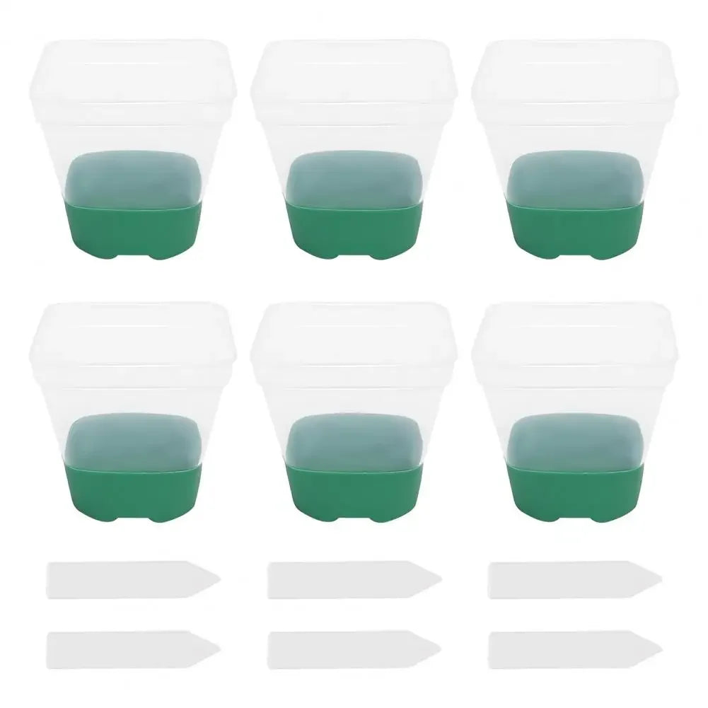 6 plastic square flower pots, transparent planting and seedling pots, reusable, breathable with silicone bottom and label Peaceful Pleasures Health and Wellness Green