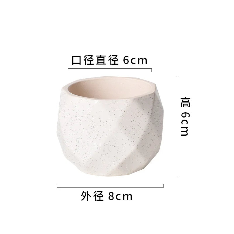 Ceramic Self-Watering Succulent Planter | White Minimalist Pot