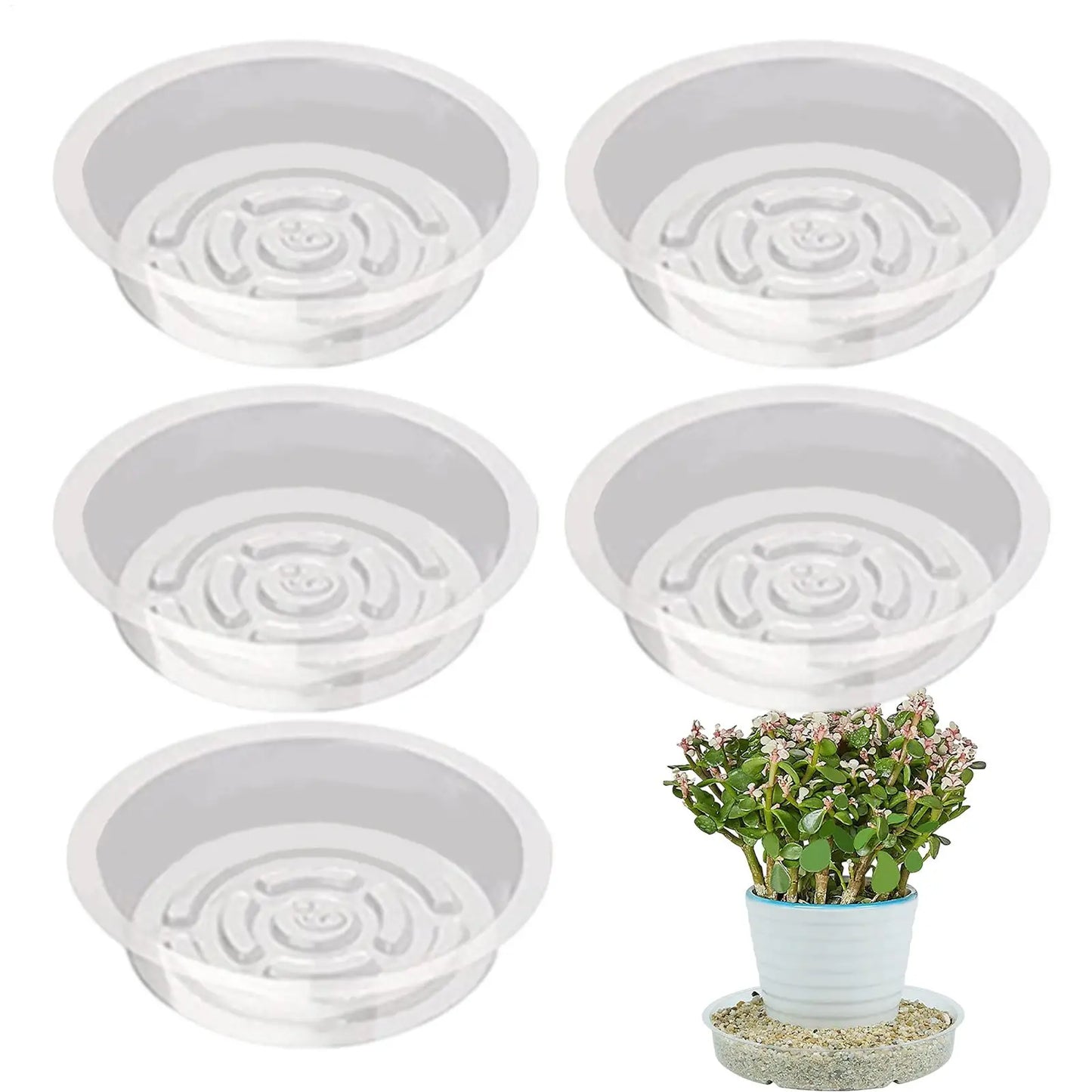 Plant Drainage Saucer Small Clear Planter Dish 5X Indoor and Outdoor Plant Saucer Pot Trays Plants Flower Pot Plates for Peaceful Pleasures Health and Wellness