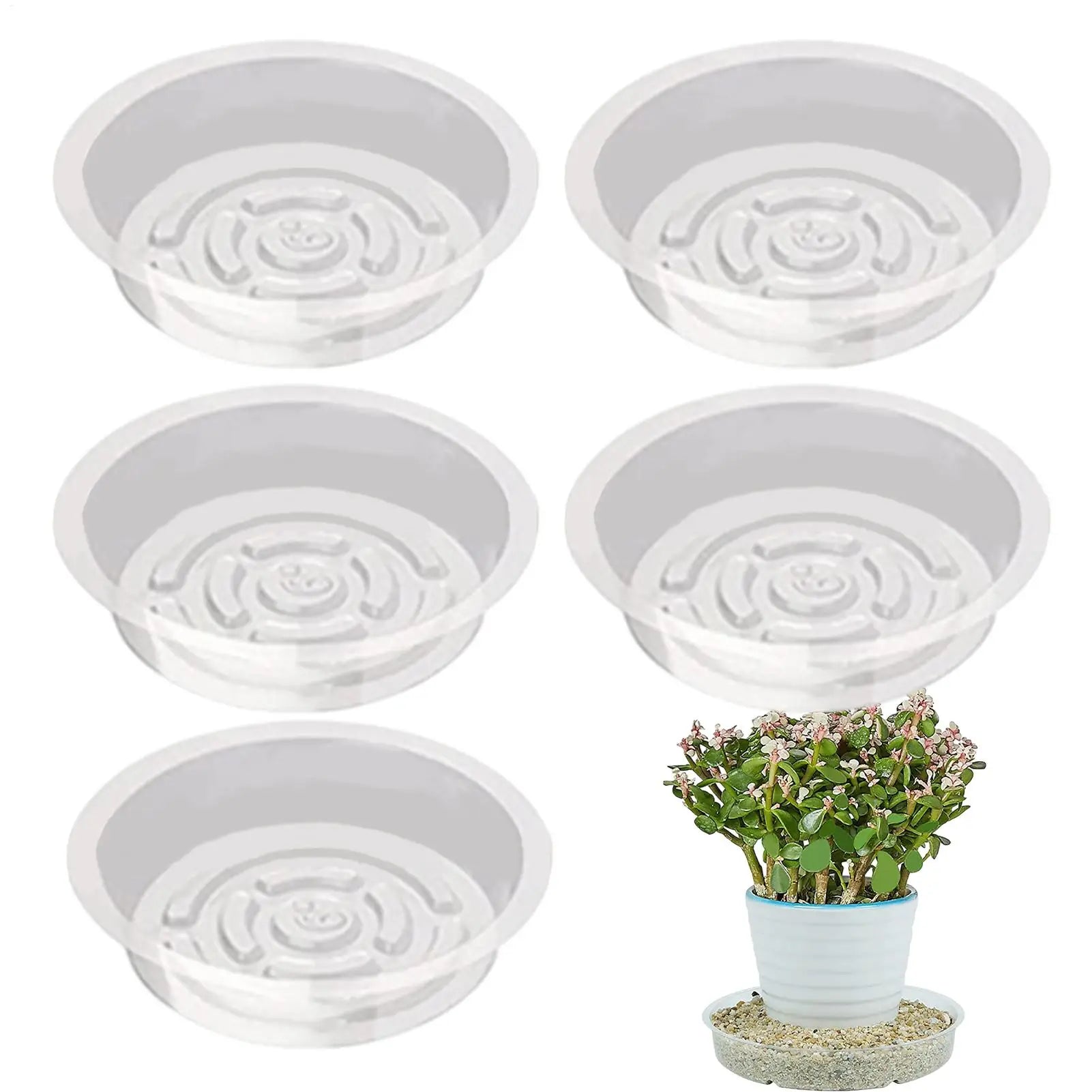 Plant Drainage Saucer Small Clear Planter Dish 5X Indoor and Outdoor Plant Saucer Pot Trays Plants Flower Pot Plates for Peaceful Pleasures Health and Wellness
