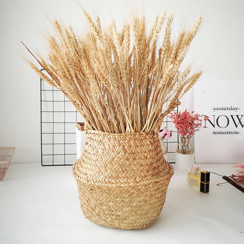 100pcs Dried Wheat Ears Bouquet – Wedding & Home Decor