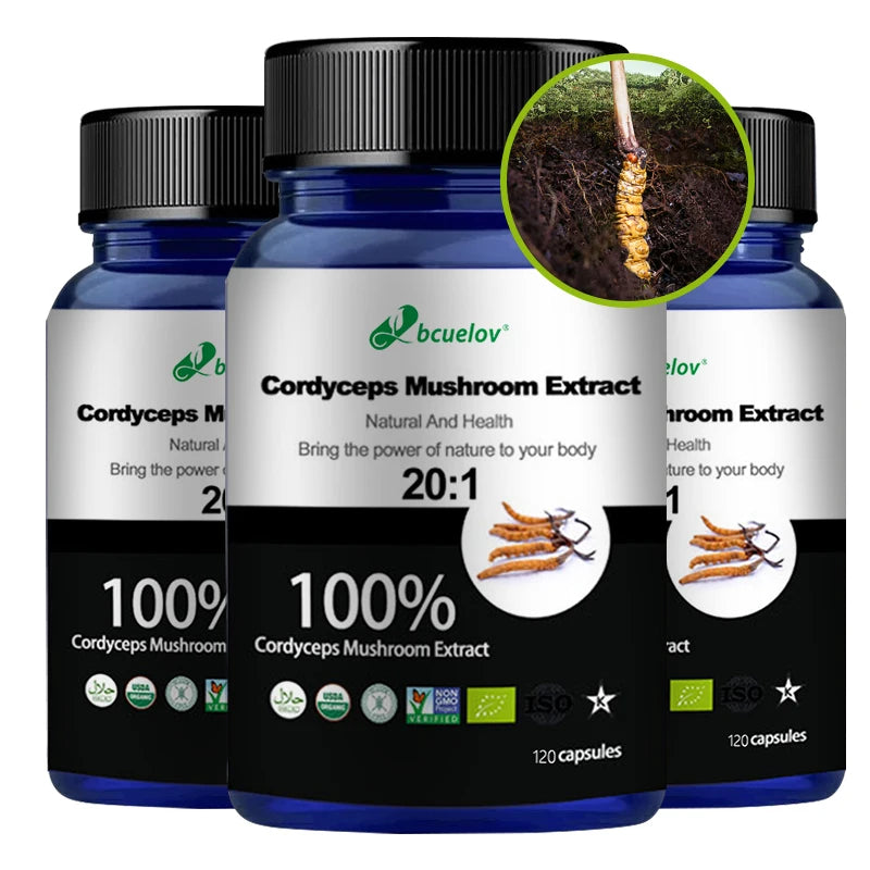 Pure Cordyceps Mushroom Extract – Energy & Immune Support Capsules