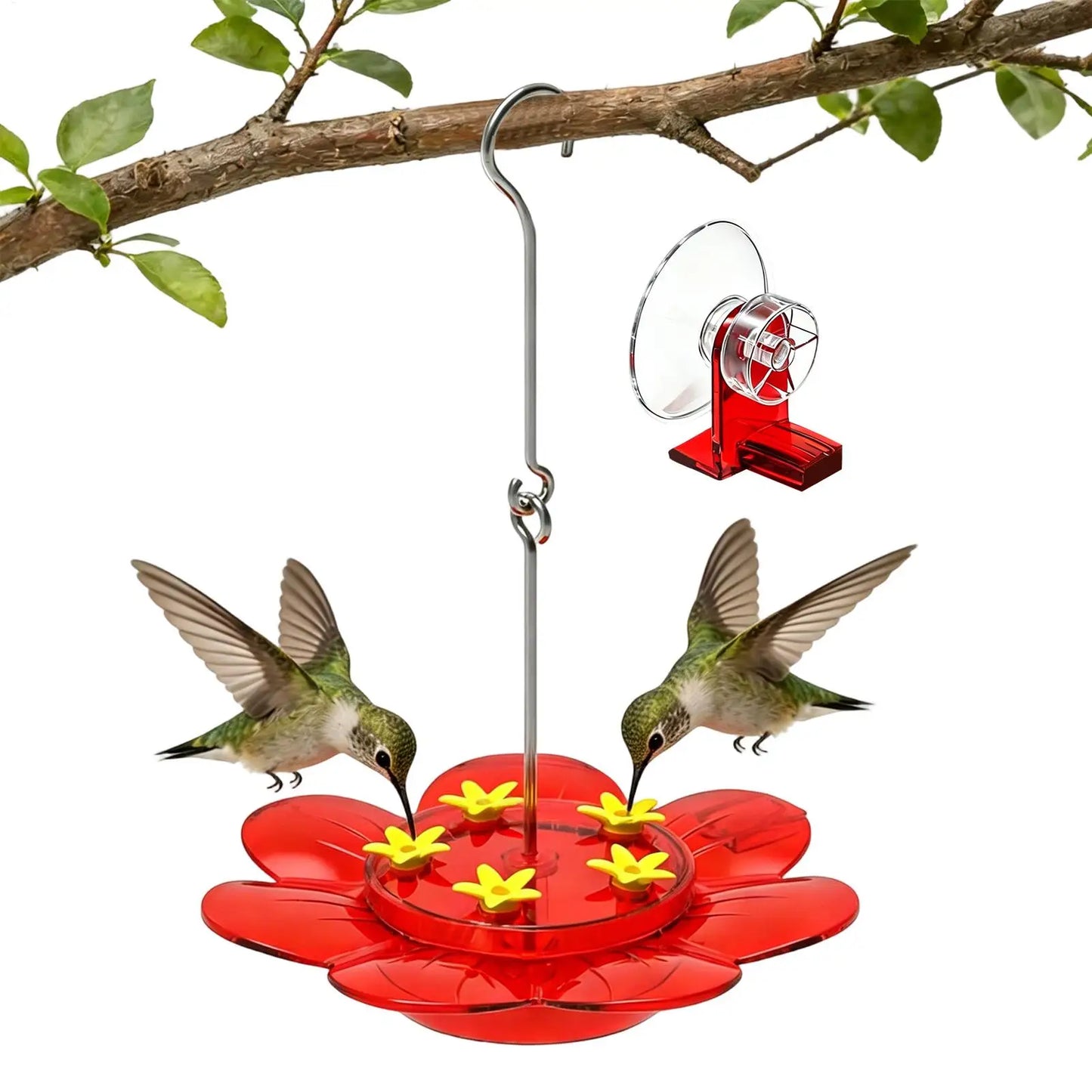 Outdoor Hanging Hummingbird Feeder – Leak-Proof & Multi-Port